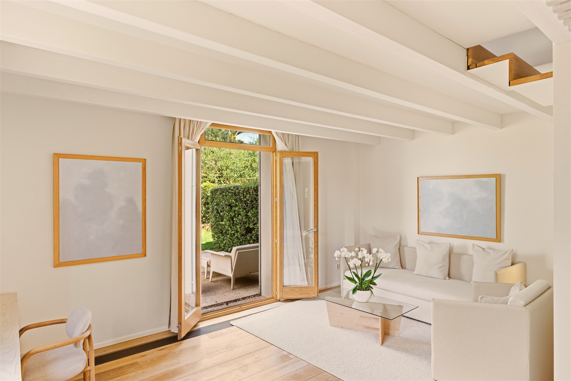 Suite Premium