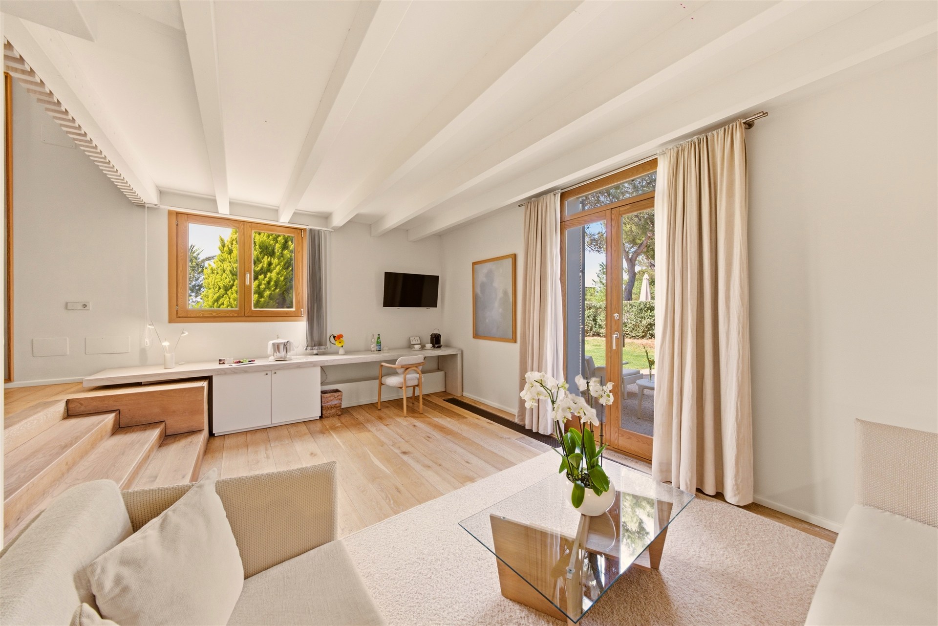 Suite Premium