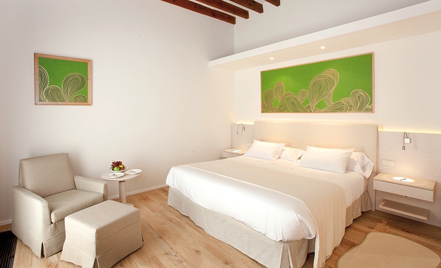 Habitación Deluxe con terraza