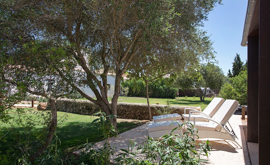 Habitación Deluxe con terraza